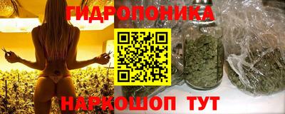 PSILOCYBIN Гулькевичи