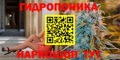 таблы Гудермес