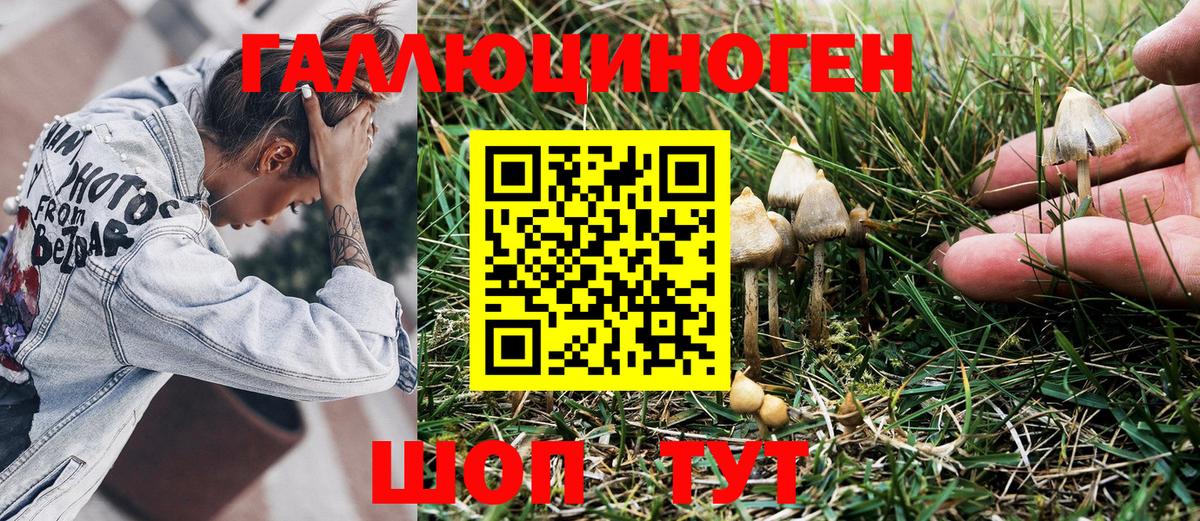 Псилоцибиновые грибы Magic Shrooms  Галлюциногенные грибы Magic Shrooms  Брянск  Вход с VPN 